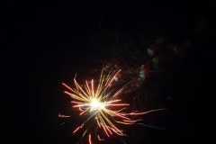 20090728_1305831759_p7118357