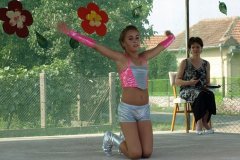 falunap108_20090326_1482908725