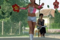 falunap109_20090326_1463341873