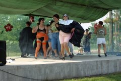 falunap127_20090326_1599396809