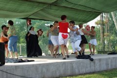 falunap129_20090326_1524906591