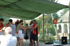 falunap132_20090326_1788652889