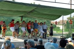 falunap136_20090326_1837500493