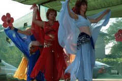falunap140_20090326_1643482909