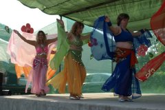 falunap142_20090326_1585304982