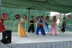 falunap149_20090326_1686203391