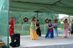 falunap150_20090326_2007221418