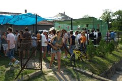 falunap157_20090326_1367911225