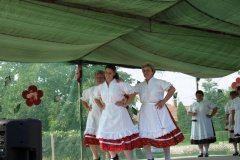 falunap161_20090326_1523361565