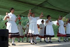 falunap163_20090326_1348490662