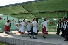 falunap165_20090326_1049857318