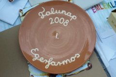 falunap171_20090326_1889673214