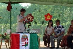 falunap197_20090326_1798284495