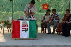 falunap198_20090326_1641593473