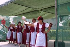falunap19_20090326_1953232917