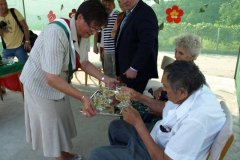 falunap201_20090326_1431913802