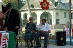 falunap205_20090326_1365018806