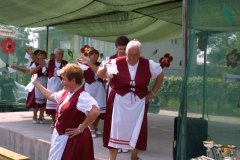 falunap20_20090326_2049440111