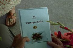 falunap212_20090326_1480900784