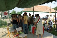 falunap213_20090326_1559729658