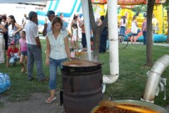 falunap223_20090326_1091656411