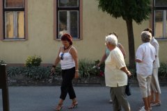falunap227_20090326_2010055400