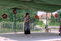 falunap3_20090326_1526571481