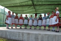 falunap46_20090326_1977936168