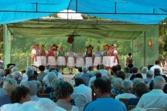 falunap49_20090326_1665946957