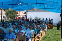 falunap4_20090326_1903412310