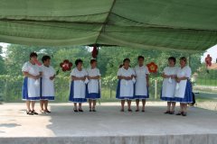falunap50_20090326_2038516122