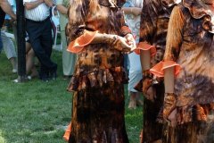 falunap53_20090326_1722879567