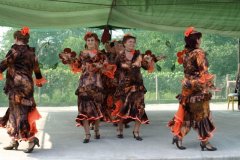 falunap58_20090326_1384910286