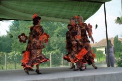 falunap63_20090326_1080085781