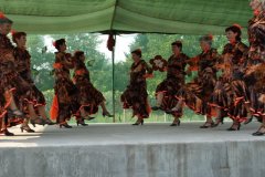 falunap64_20090326_1310051120