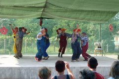 falunap78_20090326_2073435667
