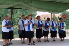 falunap8_20090326_1856513281