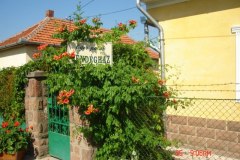 egerpatak24_20080705_1410940837