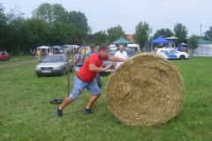 falunap_105_20160801_1348901283