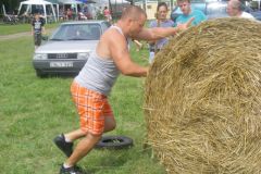 falunap_107_20160801_1210238427