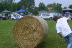 falunap_109_20160801_1336529547