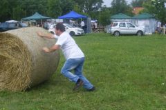 falunap_110_20160801_1077475448
