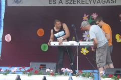 falunap_12_20160802_1873341161