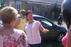 falunap_153_20160801_1628877267