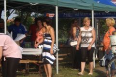 falunap_166_20160801_1540077985
