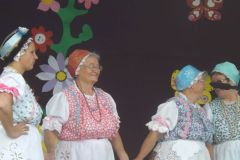 falunap_16_20160802_1166003223