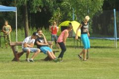 falunap_193_20160801_1099493116