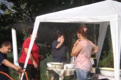 falunap_195_20160801_1418829355
