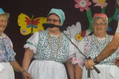 falunap_1_20160802_1435651692