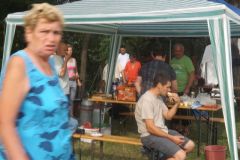 falunap_202_20160801_1612349908